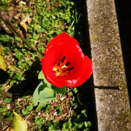 Tettoeletto Garden Bio