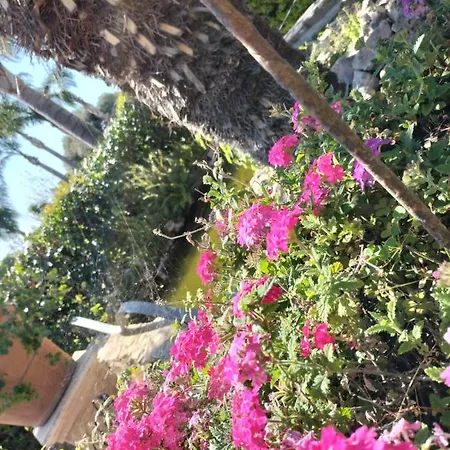Bed & Breakfast Tettoeletto Garden Bio Castellammare di Stabia