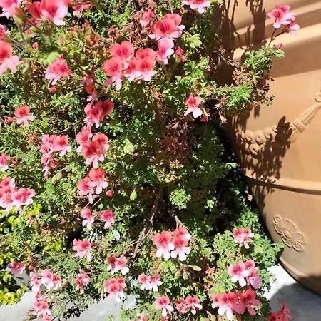Tettoeletto Garden Bio Bed & Breakfast