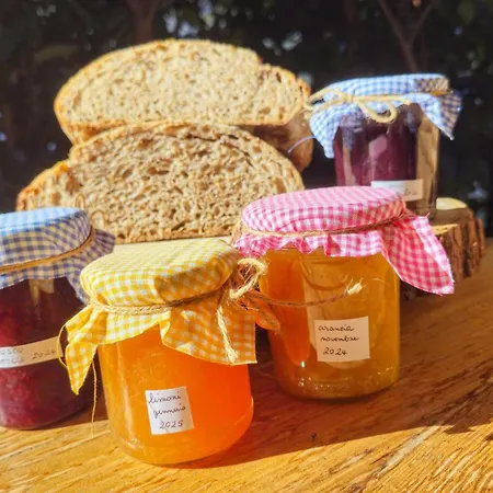 Bed & Breakfast Tettoeletto Garden Bio *